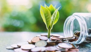 Earth Day Savings